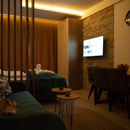 Apartman Larisa Kopaonik Ngoại thất bức ảnh